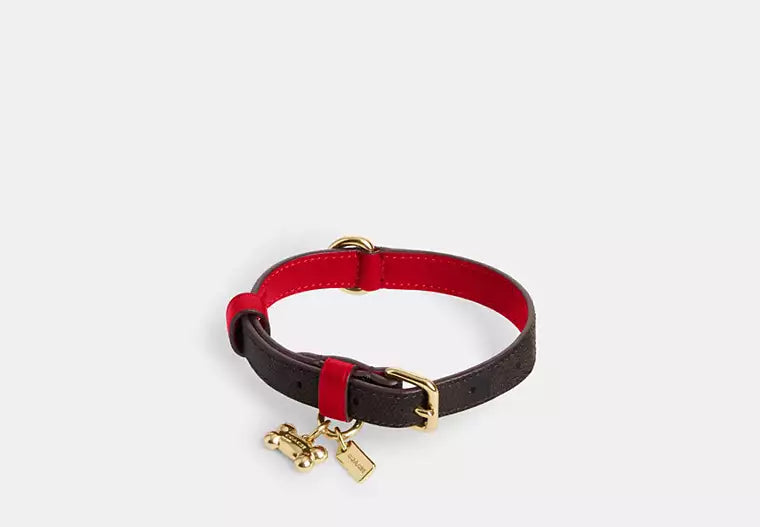 Coach Boxed Small Pet Collar In Signature Canvas